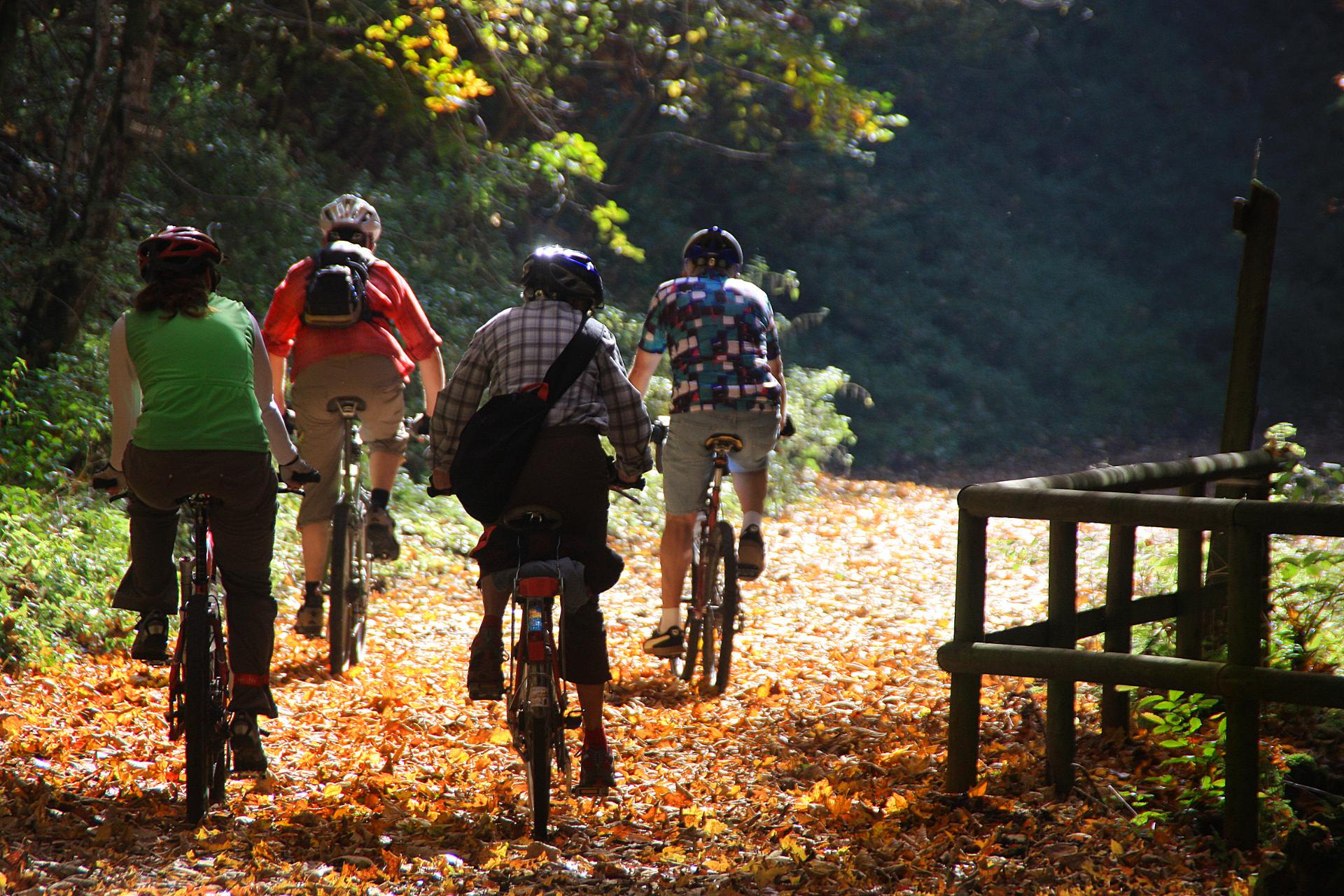 Radfahrer im Herbst, Foto: © Albrecht E. Arnold / pixelio.de